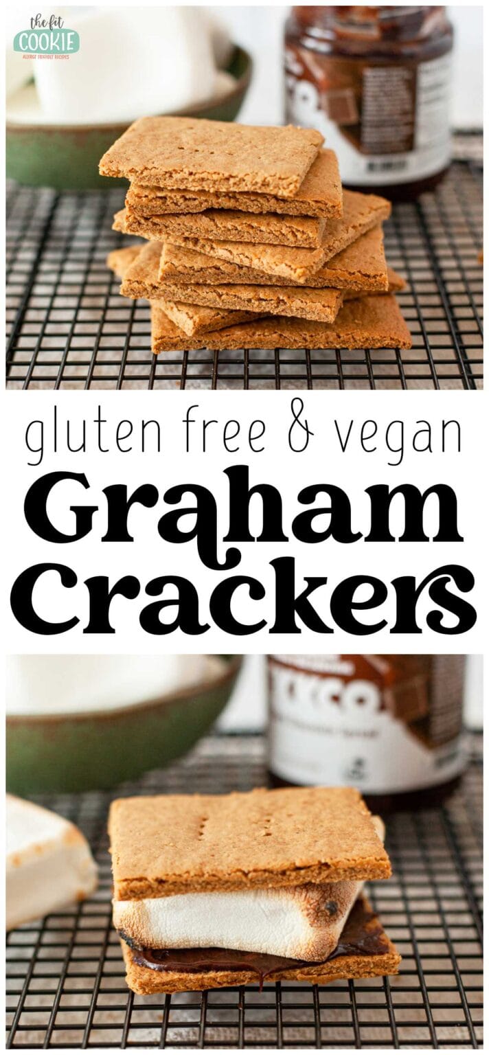 Gluten Free Graham Crackers (Vegan) • The Fit Cookie