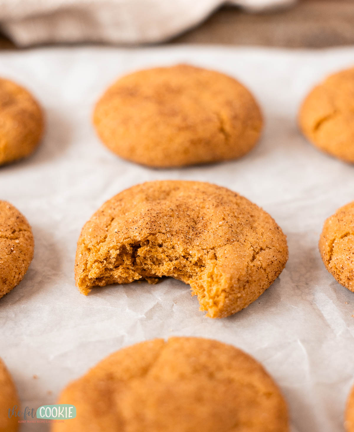 A close-up of pumpkin snickerdoodles on parchment paper, with one cookie in the center missing a bite.