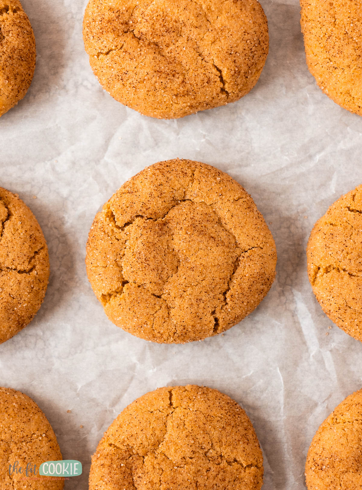 Nine gluten free pumpkin snickerdoodles arranged in rows on a sheet of parchment paper.