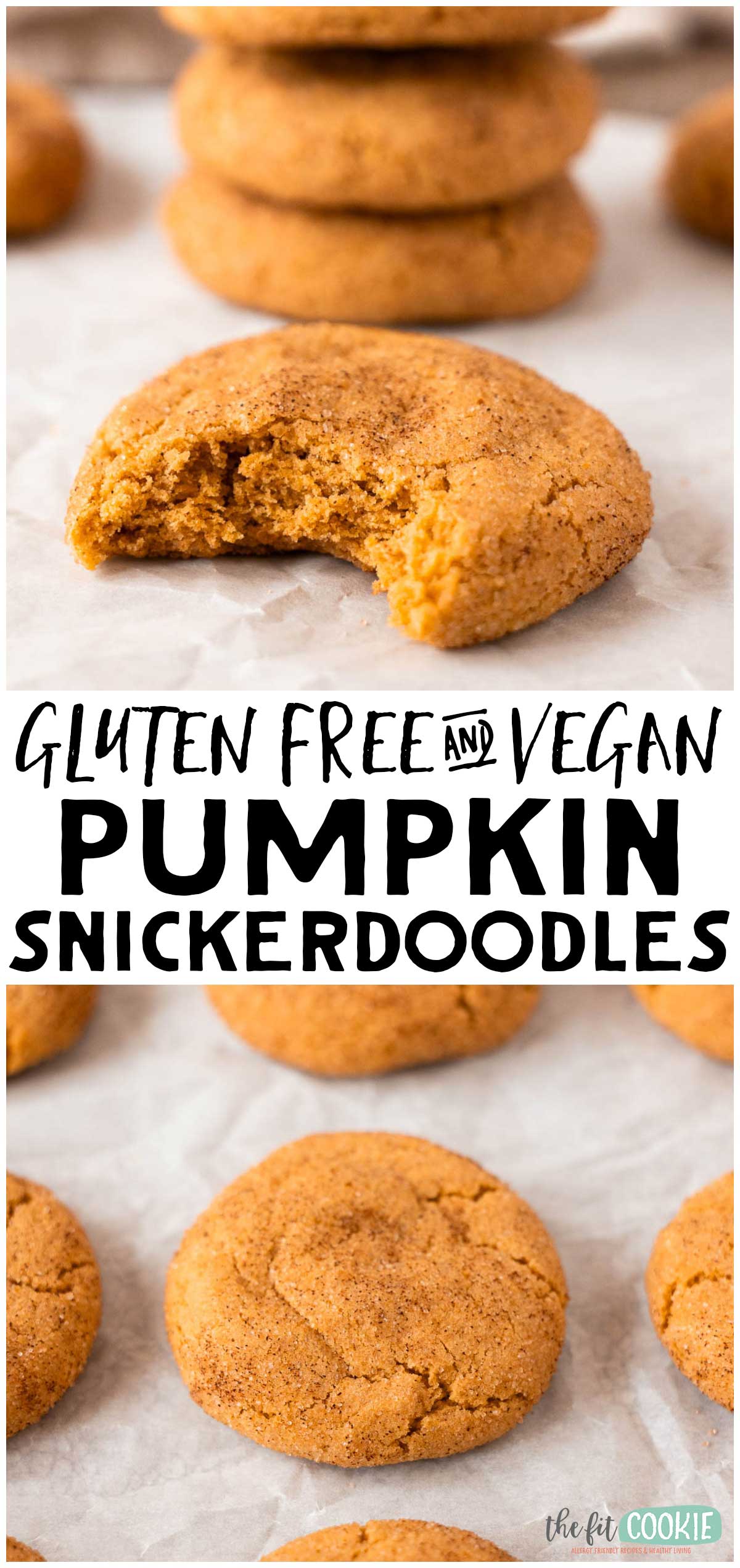 Gluten free and vegan pumpkin snickerdoodles rest on parchment paper, with one pumpkin snickerdoodle in the foreground with a bite taken.