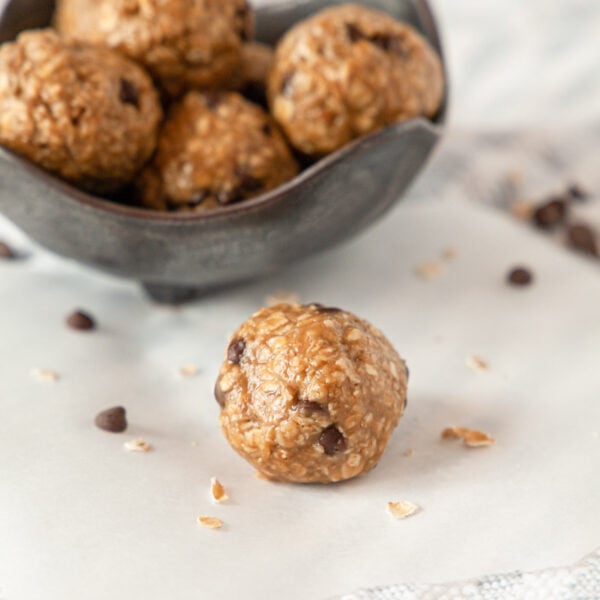 No Bake Chocolate Chip Energy Bites (Gluten Free) • The Fit Cookie