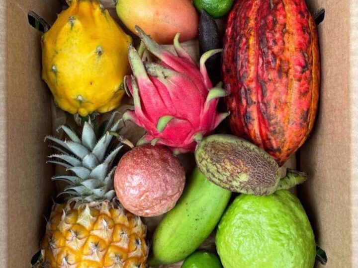 Image for Miami Fruit or Melissa's rare and tropical fruit