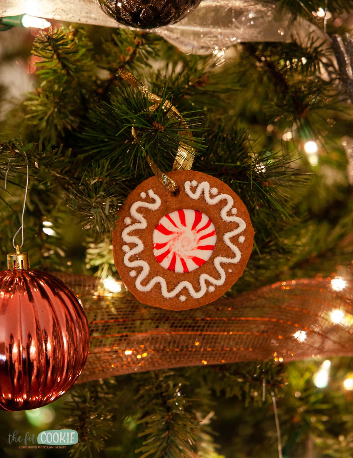 gluten free gingerbread cookie ornament in a christmas tree