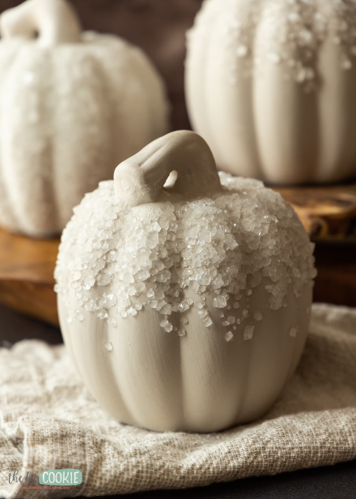 close up photo of an unglazed ceramic pumpkin covered in clear white borax crystals. 
