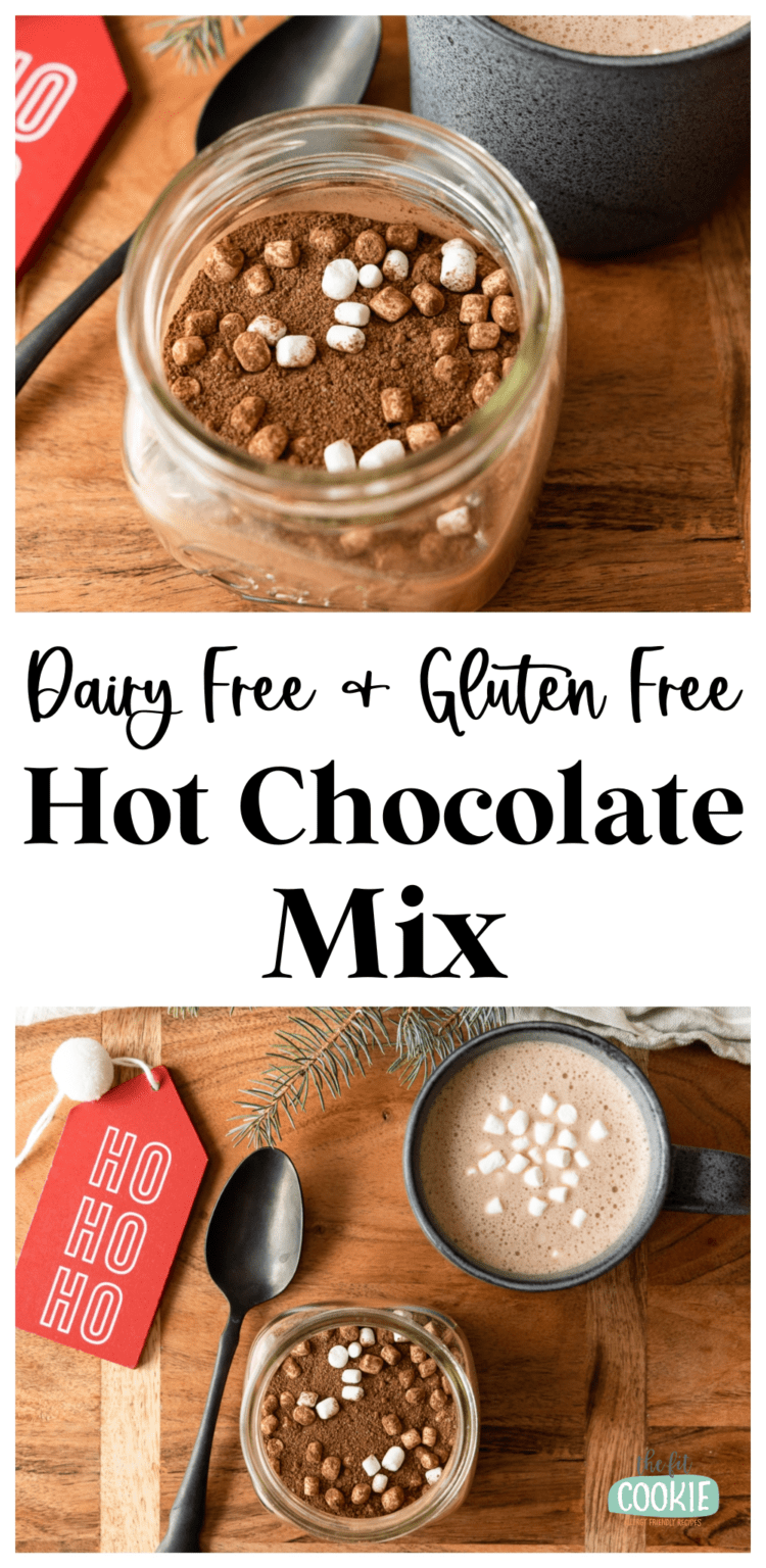 Dairy Free Hot Chocolate Mix (Gluten Free) • The Fit Cookie