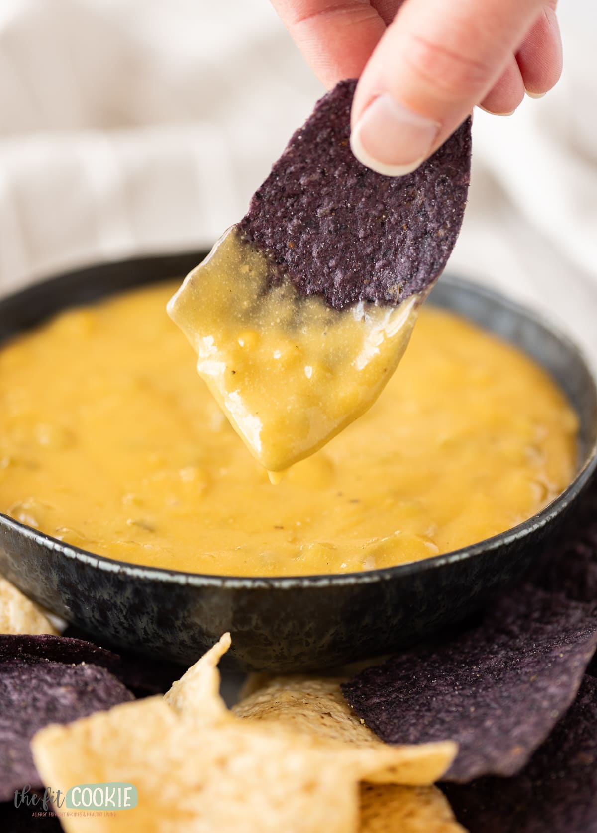 hand holding blue corn tortilla chip that is dipped in queso. 