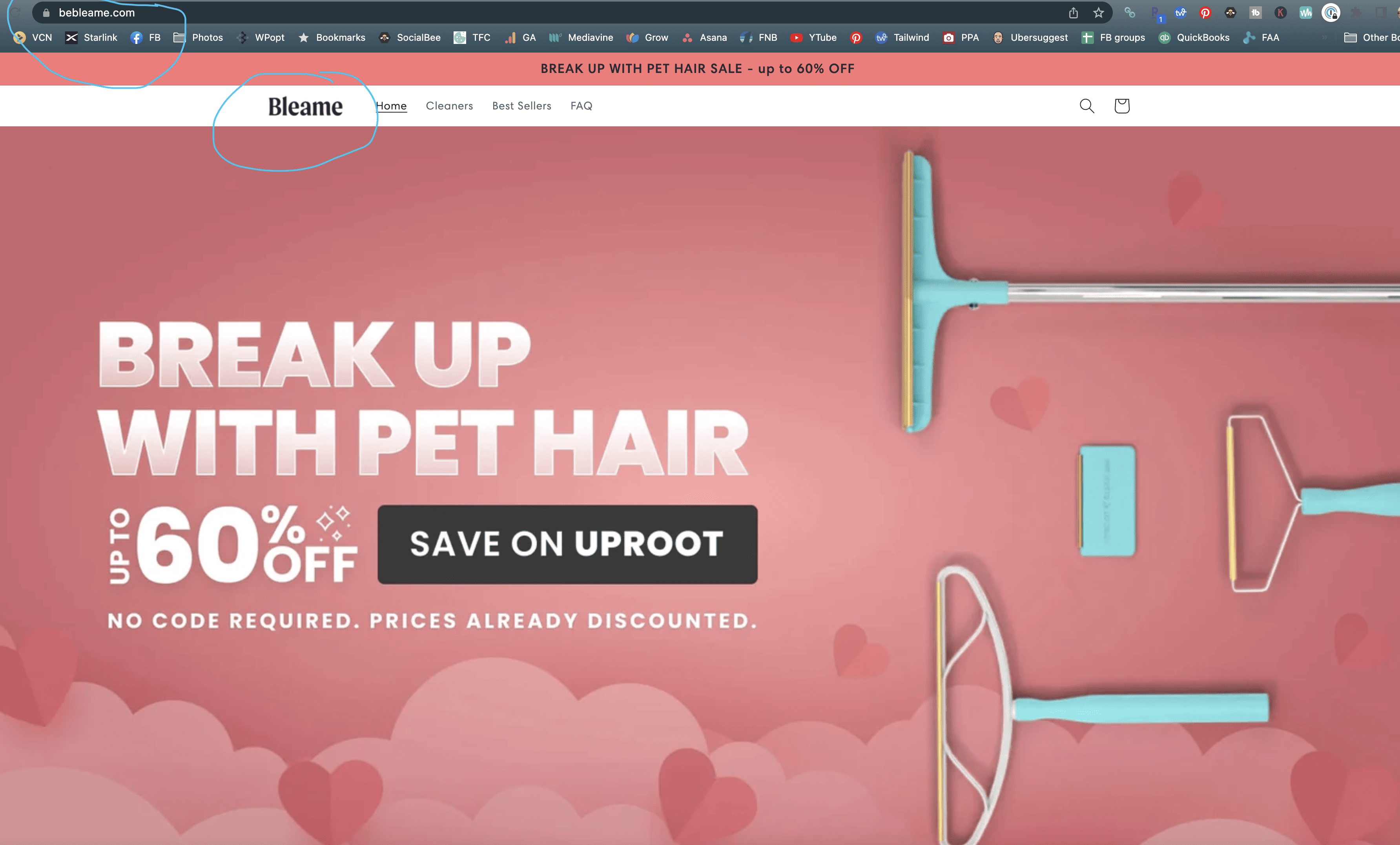 screenshot of bebleame.com website selling pet hair removers.