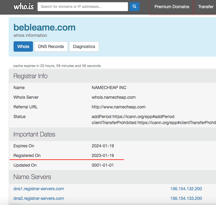 screenshot of whois data for bebleame.com. 