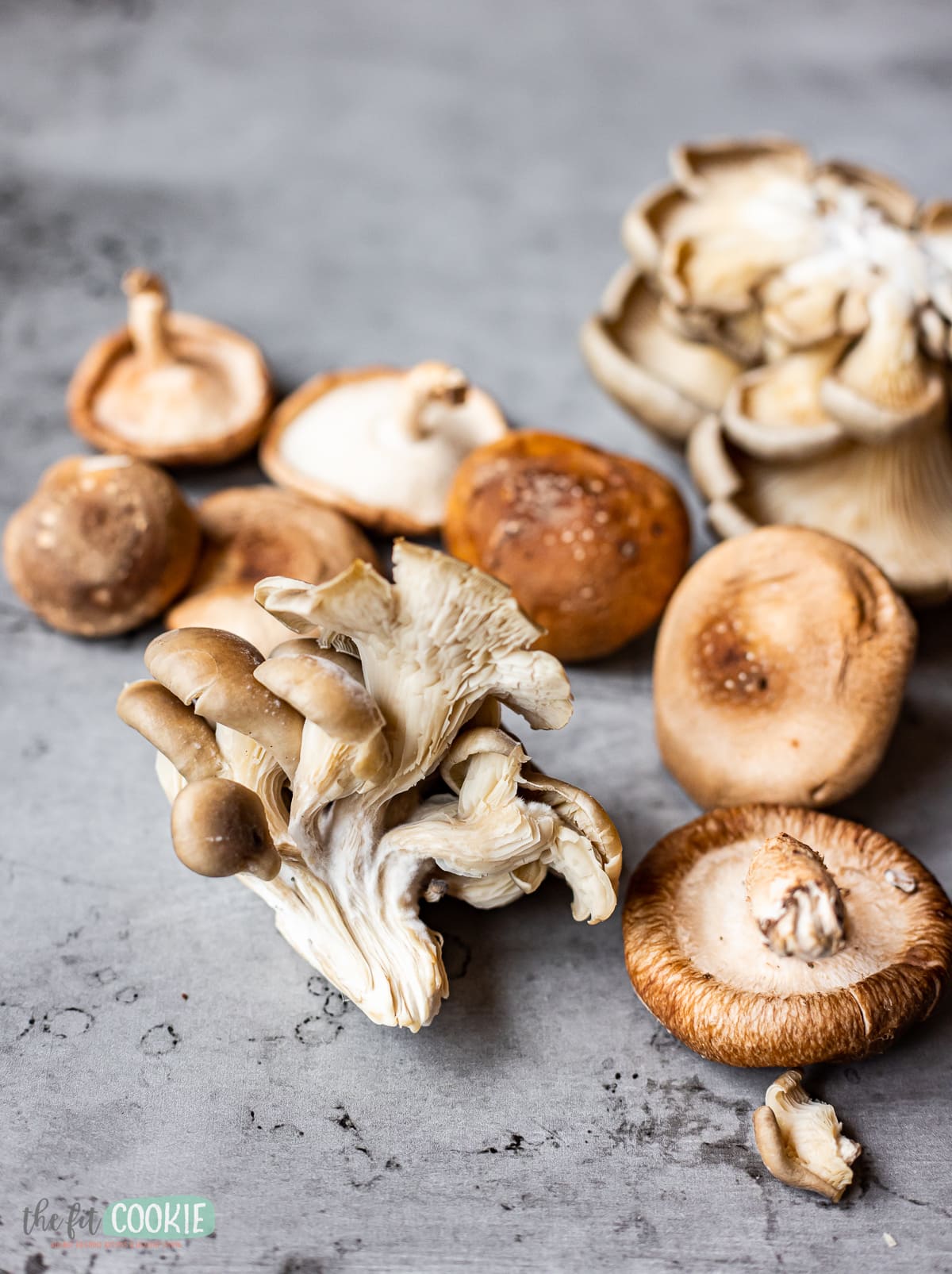 close up photo of oyster mushrooms and shiitake mushrooms. 
