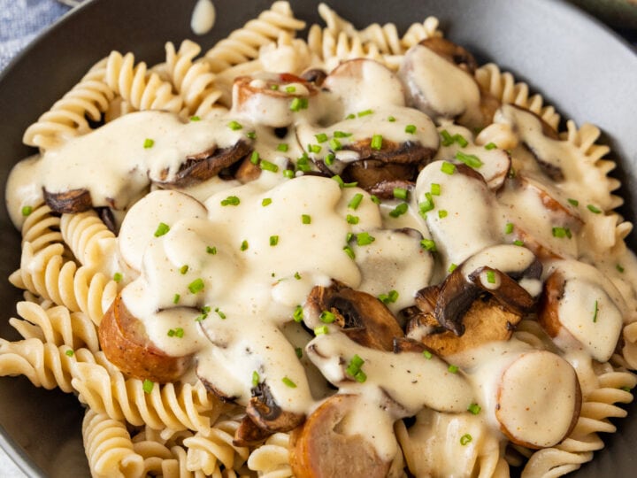 A bowl of alfredo pasta with mushroom sauce and parmesan cheese.