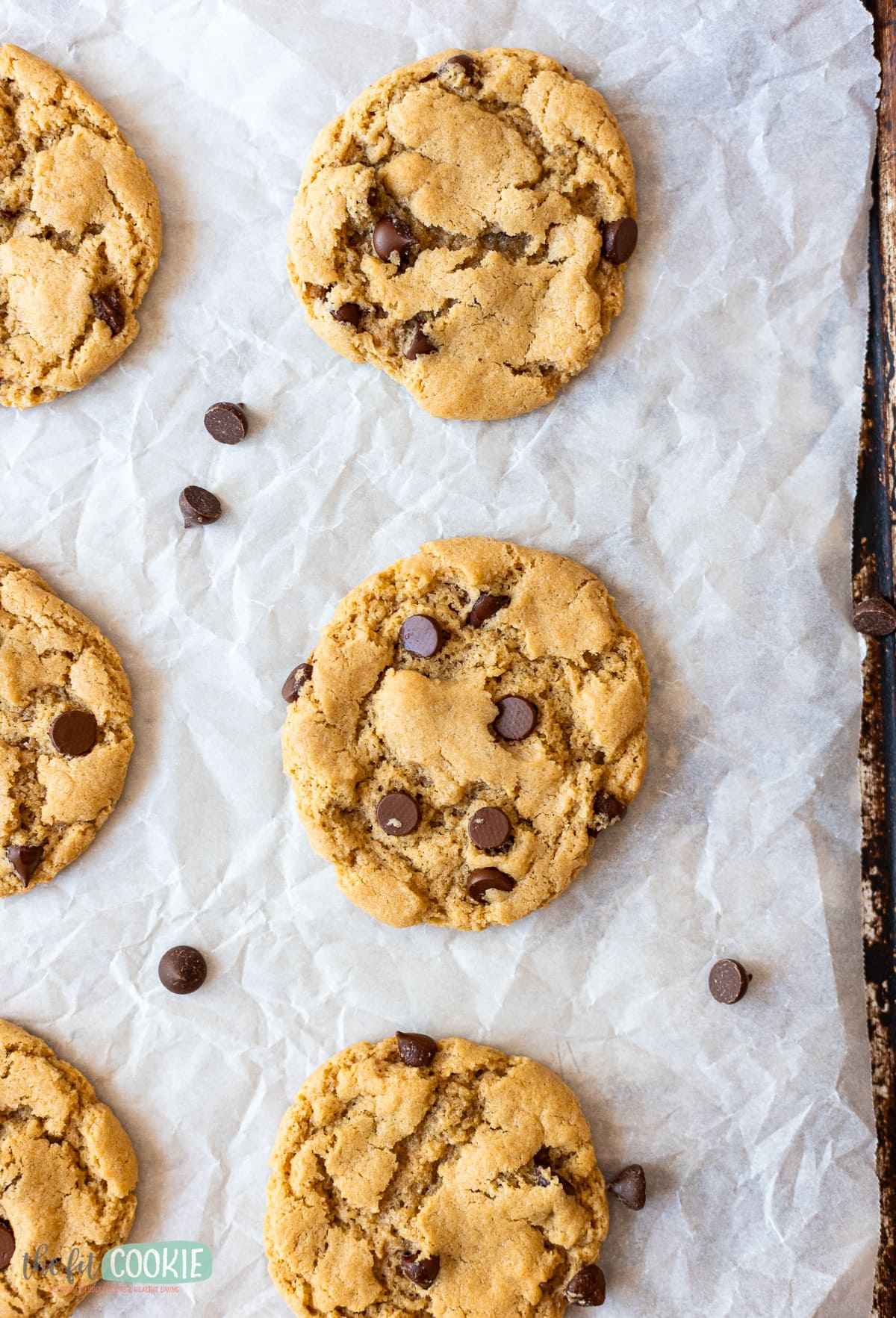 overhead photo of allergy friendly chocolate chip cookies on parchment paper. 
