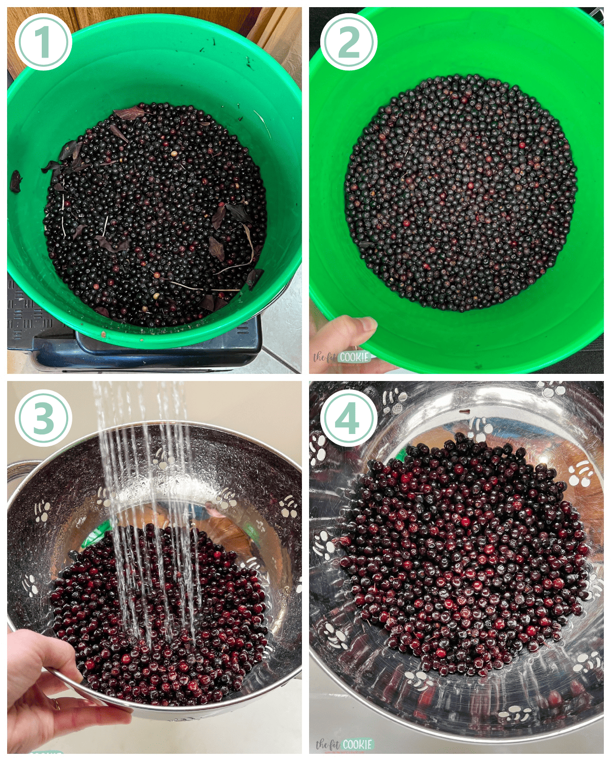 photo collage showing steps for cleaning chokecherries.