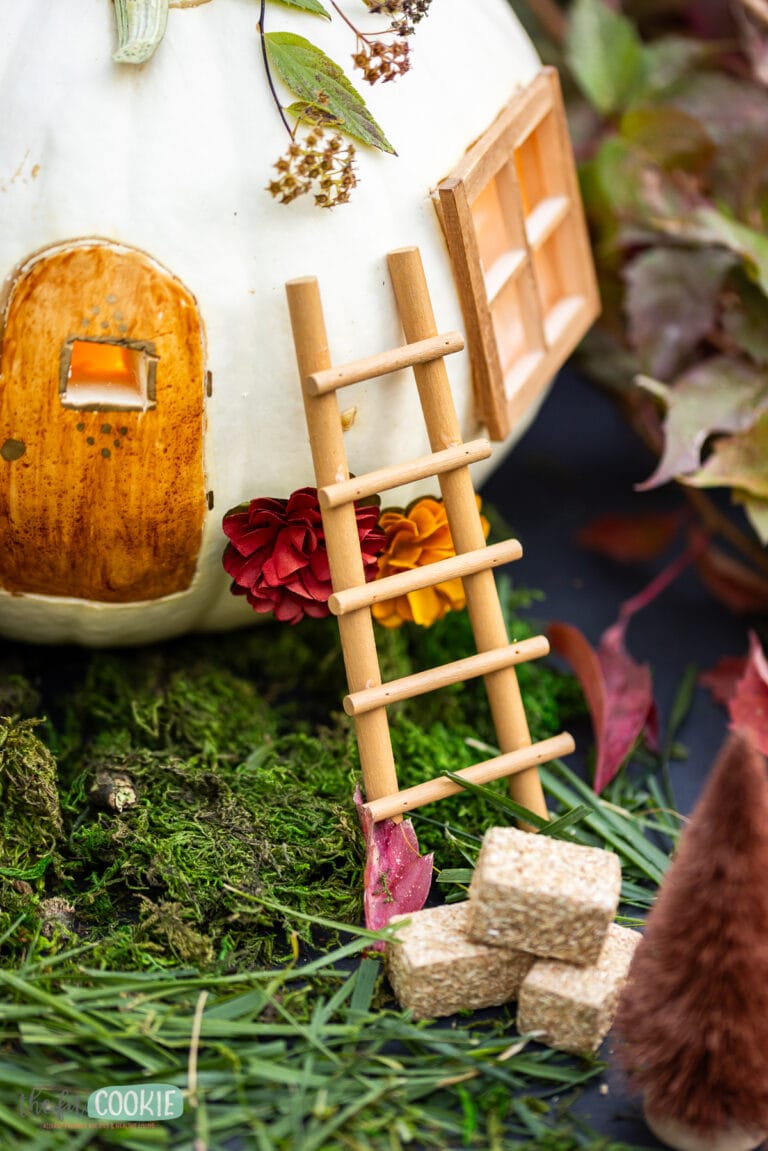 How to Make a Cute Pumpkin Fairy House (2 Ways) • The Fit Cookie