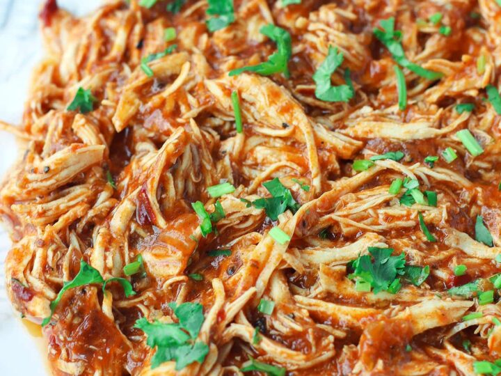 Shredded chicken on a white plate.